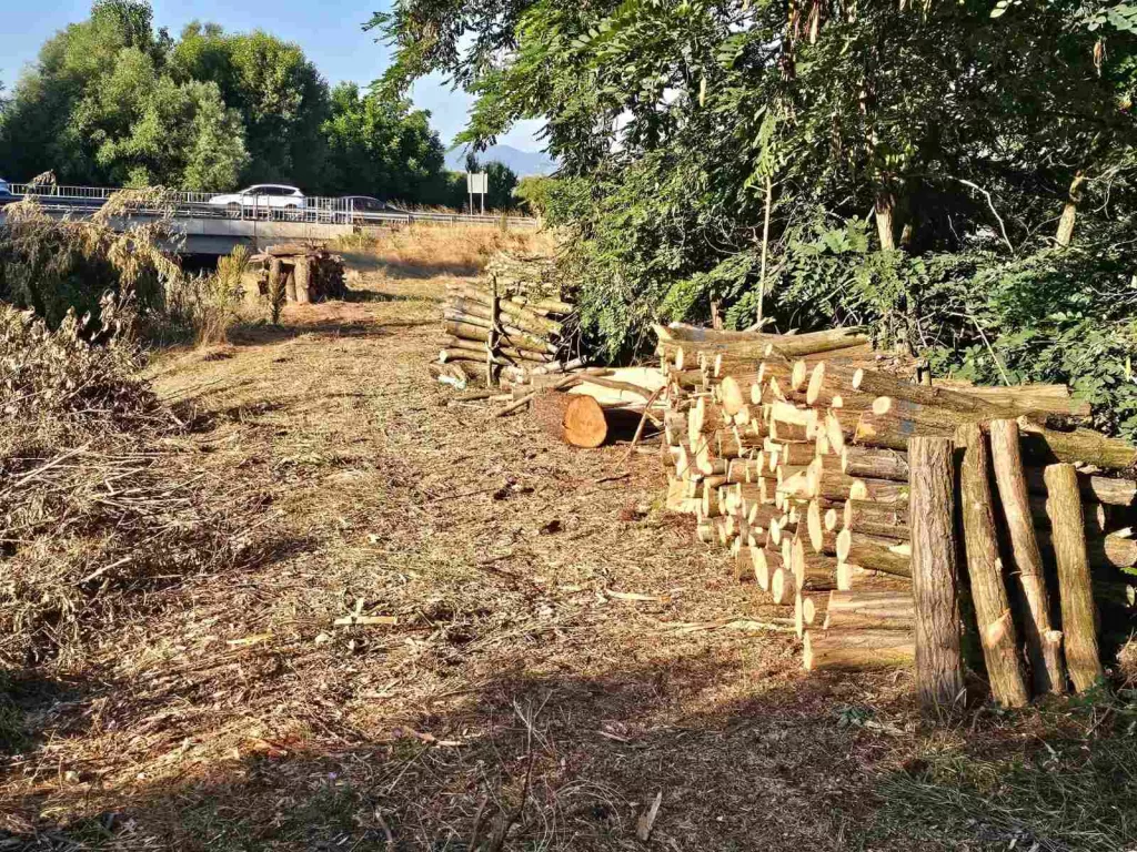 Започна почистването на река Луда Яна край Мало Конаре - viber image 2026 07 10 12 46 50 005