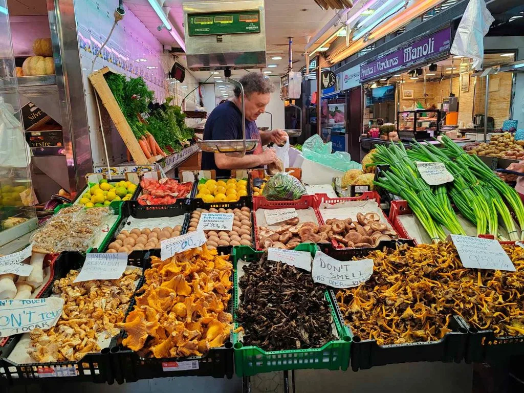 ПЪТЕПИСИ ОТ СВЕТА: ВАЛЕНСИЯ – между една паеля и един залез - viber image 2026 09 12 08 47 20 700